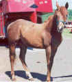 0621reddy1scan.jpg (121240 bytes)